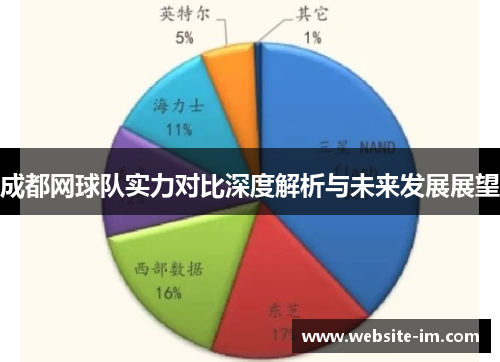 成都网球队实力对比深度解析与未来发展展望