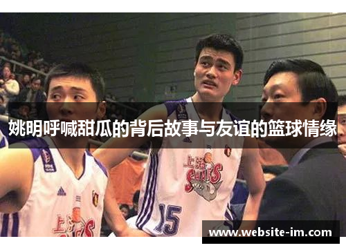 姚明呼喊甜瓜的背后故事与友谊的篮球情缘
